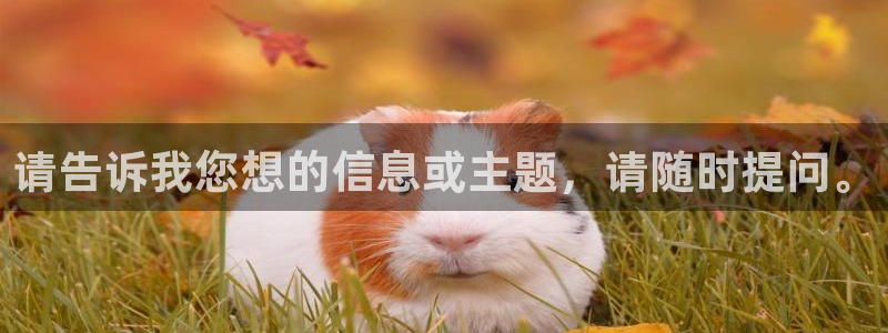 赢彩网体育官网入口登录：请告诉我您想的信息或主题，请随时提问。