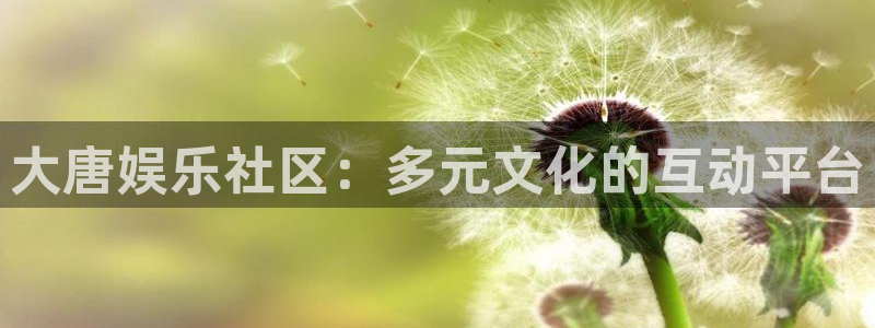 赢彩网2官网：大唐娱乐社区：多元文化的互动平台