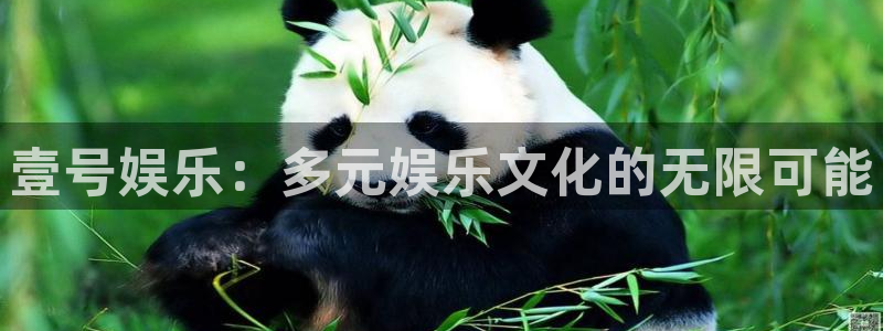 赢彩网：壹号娱乐：多元娱乐文化的无限可能