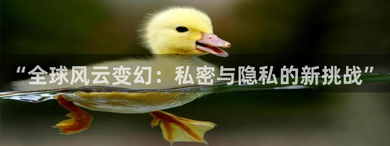 赢彩网招商：“全球风云变幻：私密与隐私的新挑战”