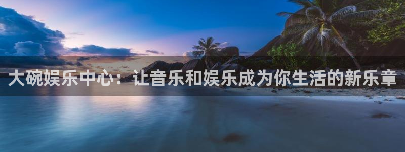 赢彩网平台在线开户：大碗娱乐中心：让音乐和娱乐成为你生活的新乐章