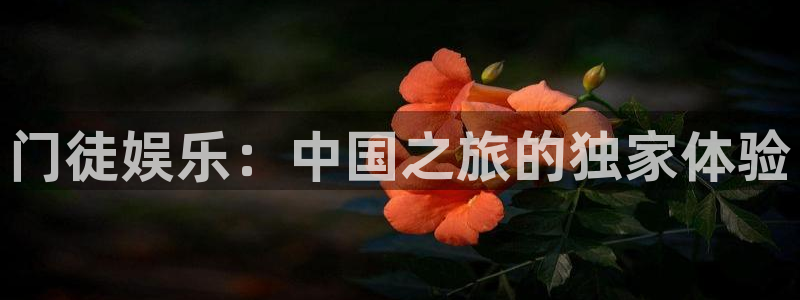 赢彩网体育代理：门徒娱乐：中国之旅的独家体验