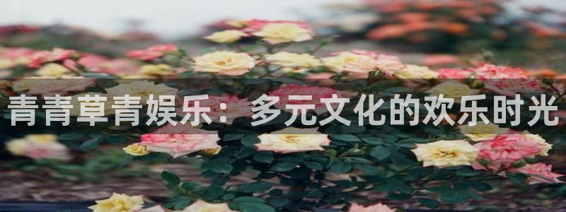 赢彩网凯捷平台：青青草青娱乐：多元文化的欢乐时光