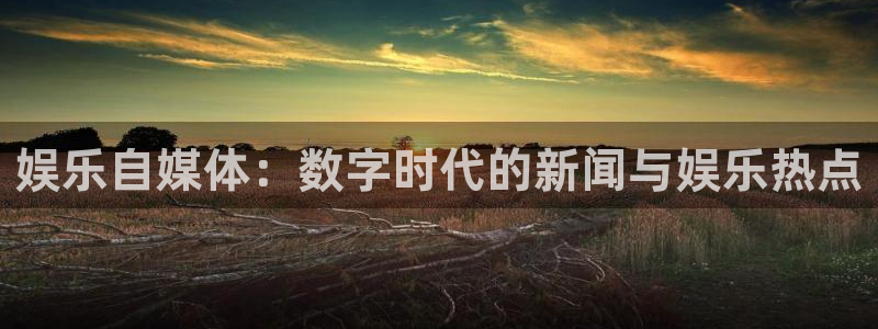 赢彩网体育4：娱乐自媒体：数字时代的新闻与娱乐热点