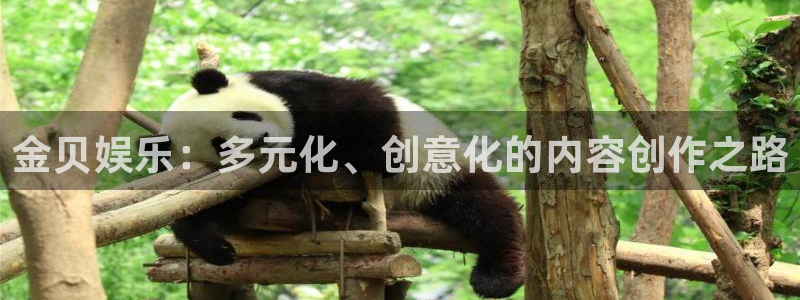 赢彩网平台开户链接：金贝娱乐：多元化、创意化的内容创作之路