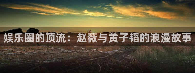 赢彩网2体育登录入口：娱乐圈的顶流：赵薇与黄子韬的浪漫故事