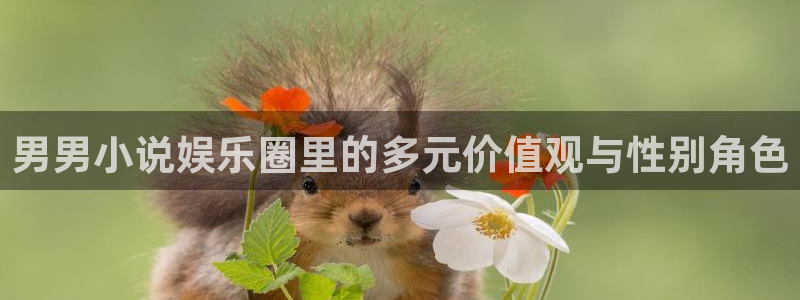 赢彩网3官网：男男小说娱乐圈里的多元价值观与性别角色
