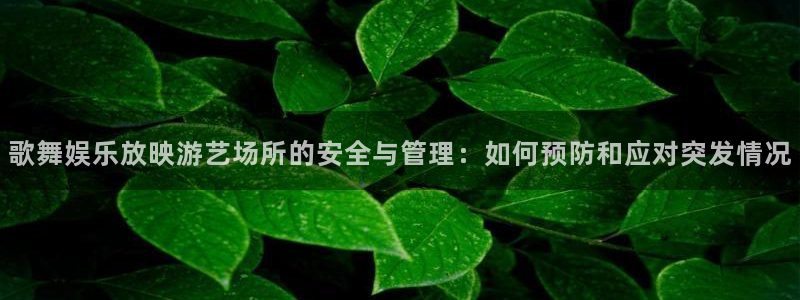 赢彩网体育凯捷平台代理：歌舞娱乐放映游艺场所的安全与管理：如何预防和应对突发情况