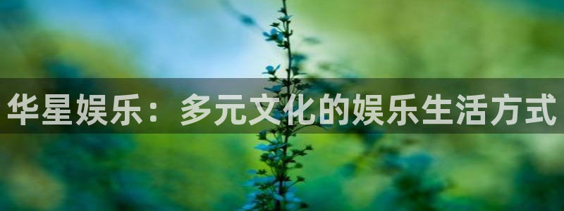 赢彩网体育f开号：华星娱乐：多元文化的娱乐生活方式