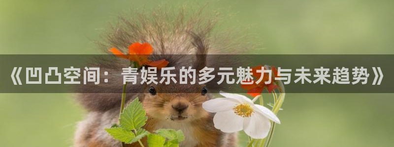 赢彩网4官网