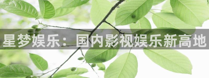 赢彩网3登陆