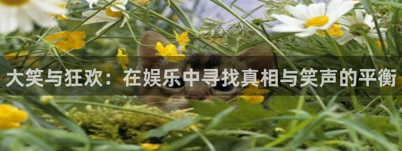 赢彩网f凯捷注册：大笑与狂欢：在娱乐中寻找真相与笑声的平衡