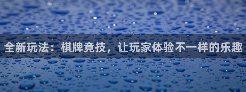 赢彩网4代理：全新玩法：棋牌竞技，让玩家体验不一样的乐趣