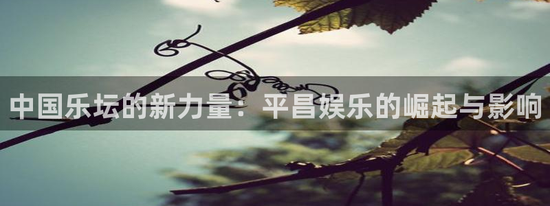 赢彩网体育老板是谁：中国乐坛的新力量：平昌娱乐的崛起与影响
