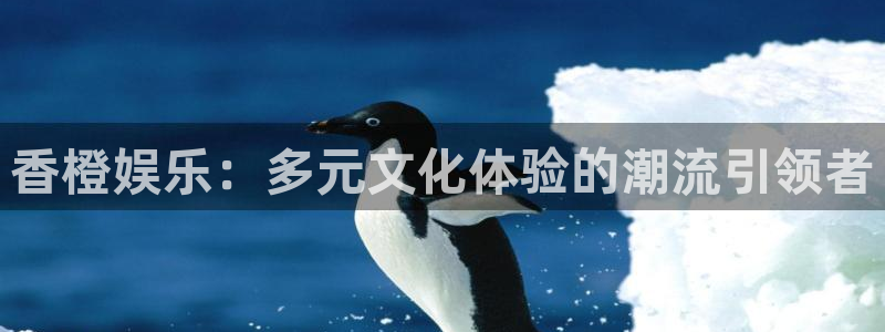 赢彩网平台开户链接：香橙娱乐：多元文化体验的潮流引领者