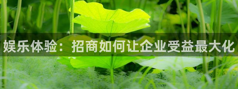 东莞市赢彩网电子科技有限公司：娱乐体验：招商如何让企业受益最大化