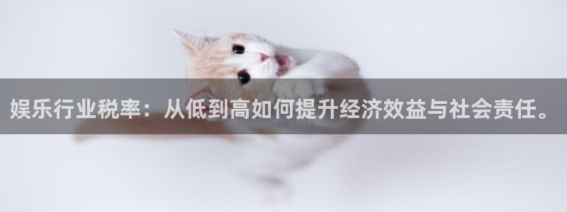 赢彩网平台官网：娱乐行业税率：从低到高如何提升经济效益与社会责任。