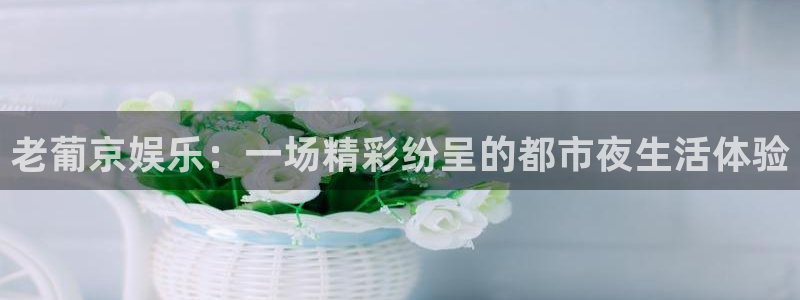 赢彩网平台在线注册：老葡京娱乐：一场精彩纷呈的都市夜生活体验