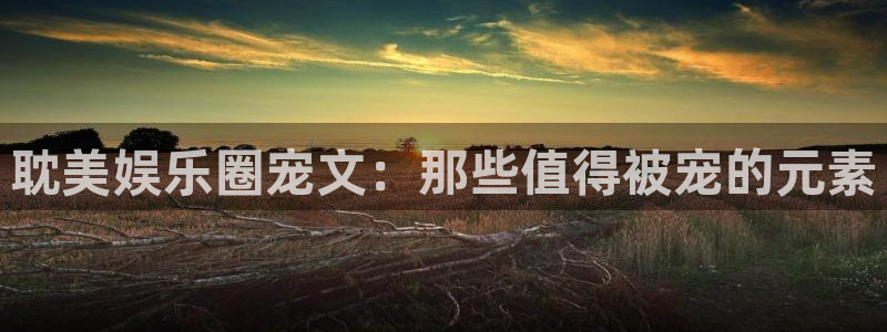 赢彩网体育凯捷代理注册：耽美娱乐圈宠文：那些值得被宠的元素