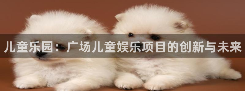 赢彩网3平台登录注册：儿童乐园：广场儿童娱乐项目的创新与未来