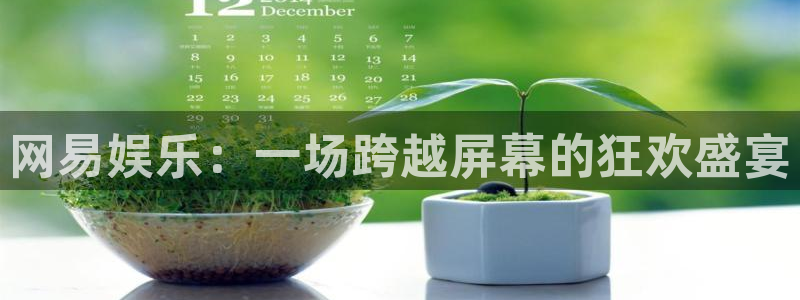 赢彩网体育合法嘛：网易娱乐：一场跨越屏幕的狂欢盛宴