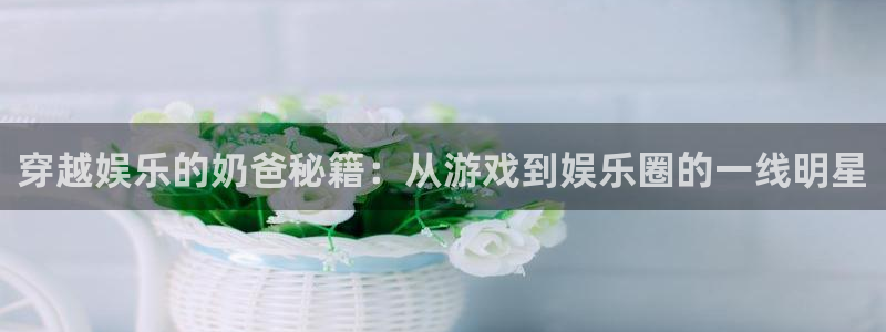 赢彩网能源：穿越娱乐的奶爸秘籍：从游戏到娱乐圈的一线明星