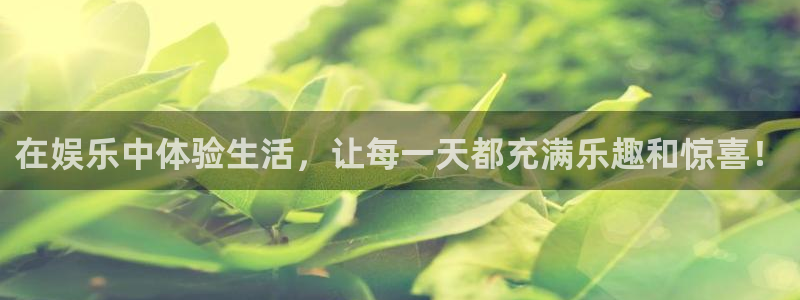 赢彩网体育用品：在娱乐中体验生活，让每一天都充满乐趣和惊喜！