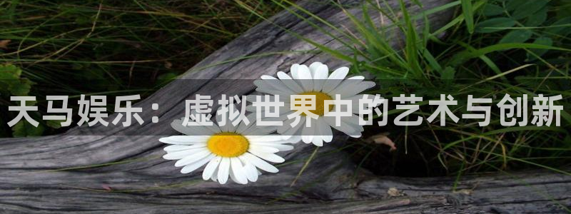 赢彩网体育热门赛事有哪些：天马娱乐：虚拟世界中的艺术与创新