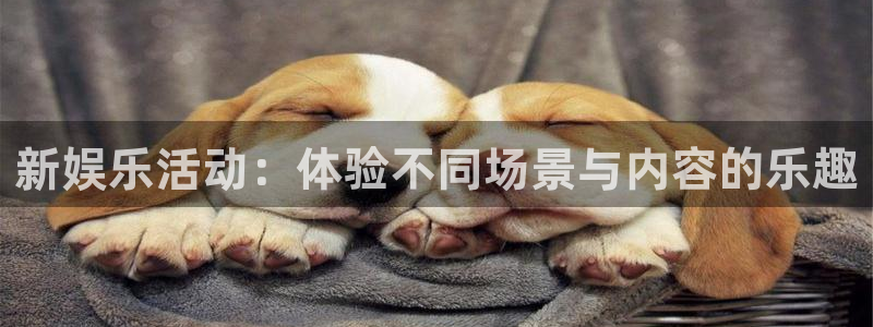 佛山市南海赢彩网机电仪器有限公司：新娱乐活动：体验不同场景与内容的乐趣