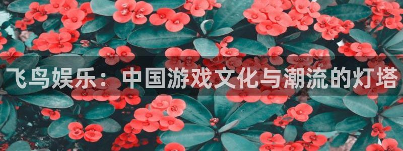 赢彩网电子有限公司：飞鸟娱乐：中国游戏文化与潮流的灯塔