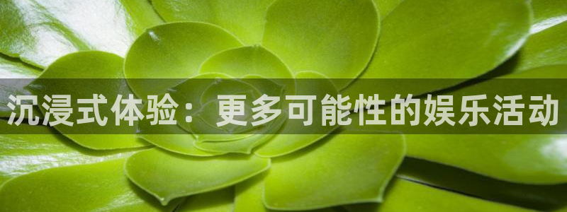 赢彩网体育平台开号链接：沉浸式体验：更多可能性的娱乐活动