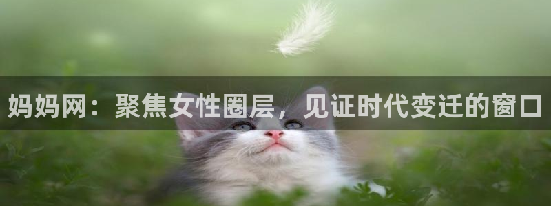 赢彩网招商：妈妈网：聚焦女性圈层，见证时代变迁的窗口