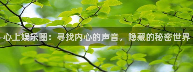 赢彩网平台官网：心上娱乐圈：寻找内心的声音，隐藏的秘密世界
